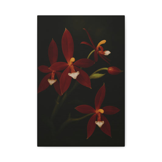 Phalaenopsis Cornu-Cervi var. Chattaladae Canvas Wall Art – Rare Red Orchid Botanical Print, Exotic Flower Artwork, Plant Lover Décor