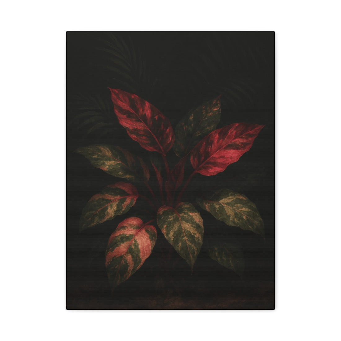 🌿 Philodendron Care 101 – How to Keep Your Philodendron Thriving