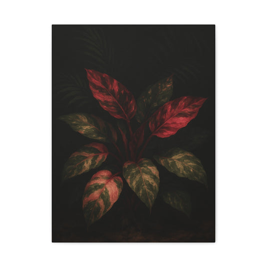 🌿 Philodendron Care 101 – How to Keep Your Philodendron Thriving