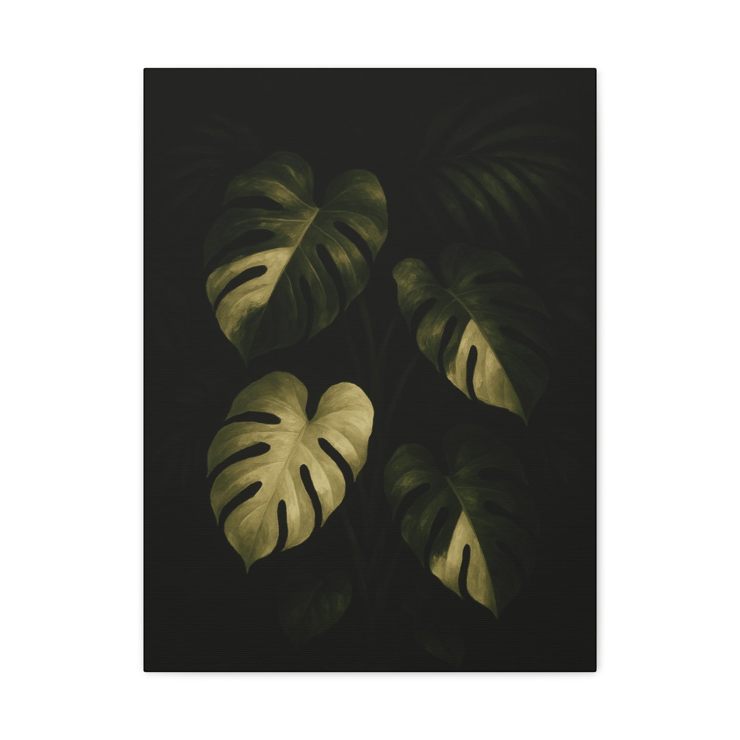 Monstera Albo Half Moon Canvas Wall Art – Rare Variegated Monstera Print, Exotic Aroid Botanical Artwork, Tropical Plant Lover Décor