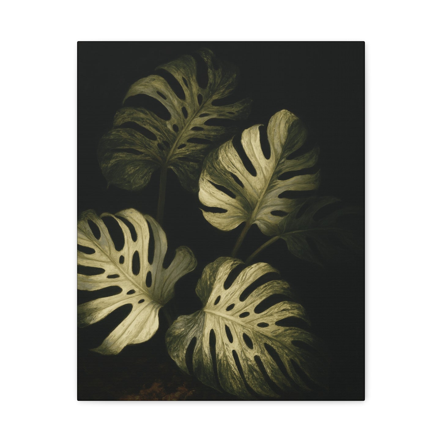 Monstera White Devil Canvas Wall Art – Rare Variegated Monstera Print, Exotic Aroid Botanical Artwork, Tropical Plant Lover Décor