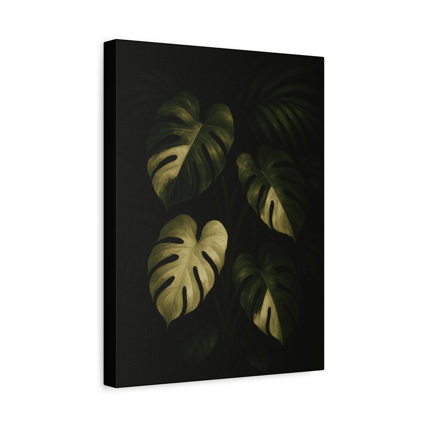 Monstera Albo Half Moon Canvas Wall Art – Rare Variegated Monstera Print, Exotic Aroid Botanical Artwork, Tropical Plant Lover Décor