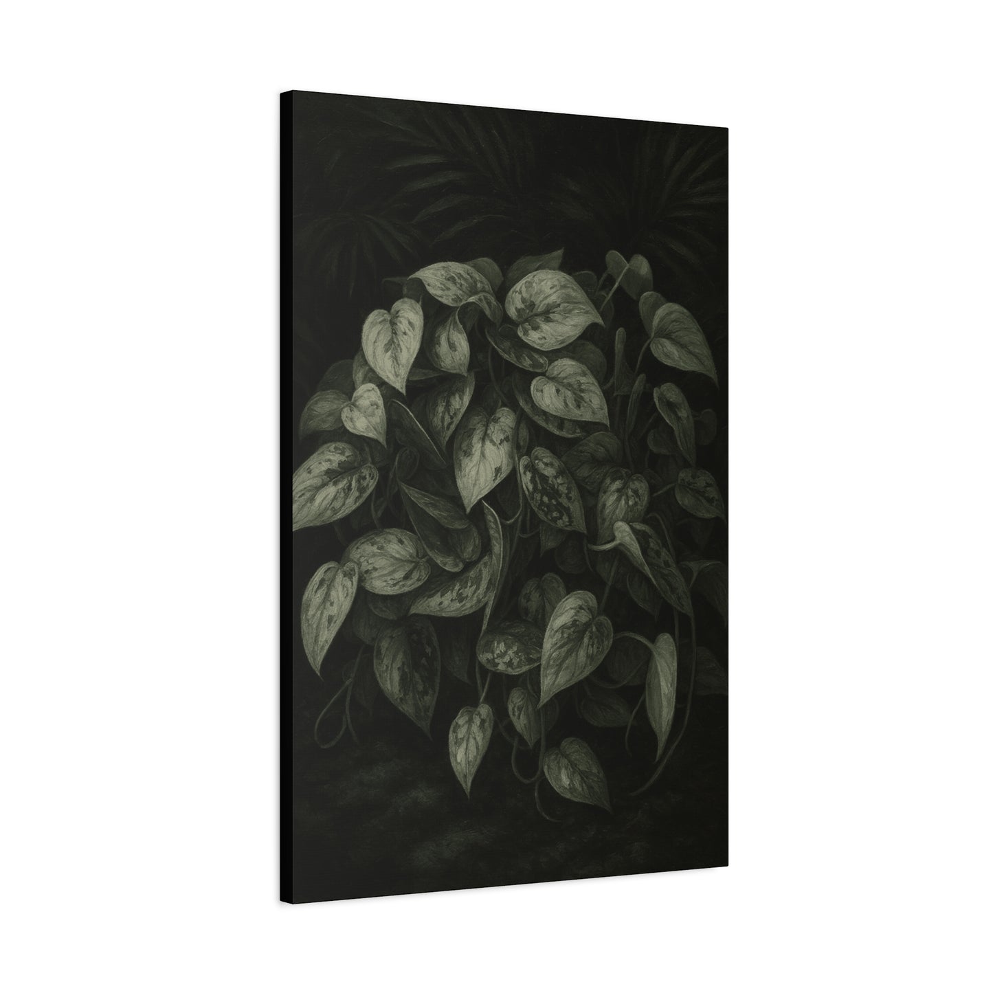 Silver Satin Pothos Canvas Wall Art – Scindapsus Pictus Botanical Print, Rare Aroid Foliage Artwork, Plant Lover Home Décor