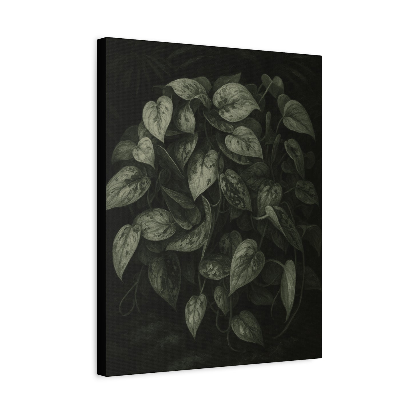 Silver Satin Pothos Canvas Wall Art – Scindapsus Pictus Botanical Print, Rare Aroid Foliage Artwork, Plant Lover Home Décor