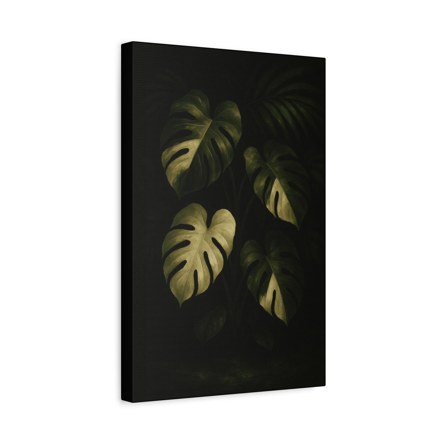 Monstera Albo Half Moon Canvas Wall Art – Rare Variegated Monstera Print, Exotic Aroid Botanical Artwork, Tropical Plant Lover Décor