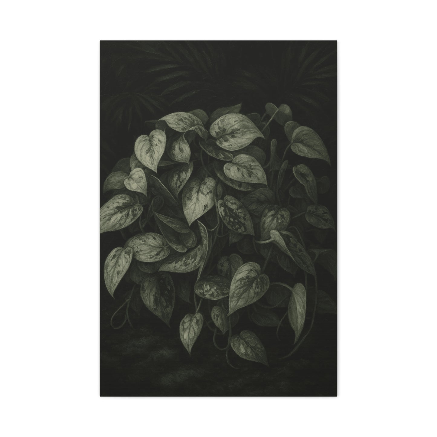 Silver Satin Pothos Canvas Wall Art – Scindapsus Pictus Botanical Print, Rare Aroid Foliage Artwork, Plant Lover Home Décor