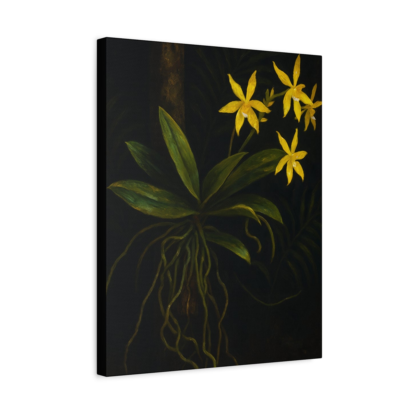 Yellow Orchid Canvas Wall Art – Phalaenopsis Cornu-Cervi f. Flava Print, Rare Botanical Flower Artwork, Plant Lover Home Décor