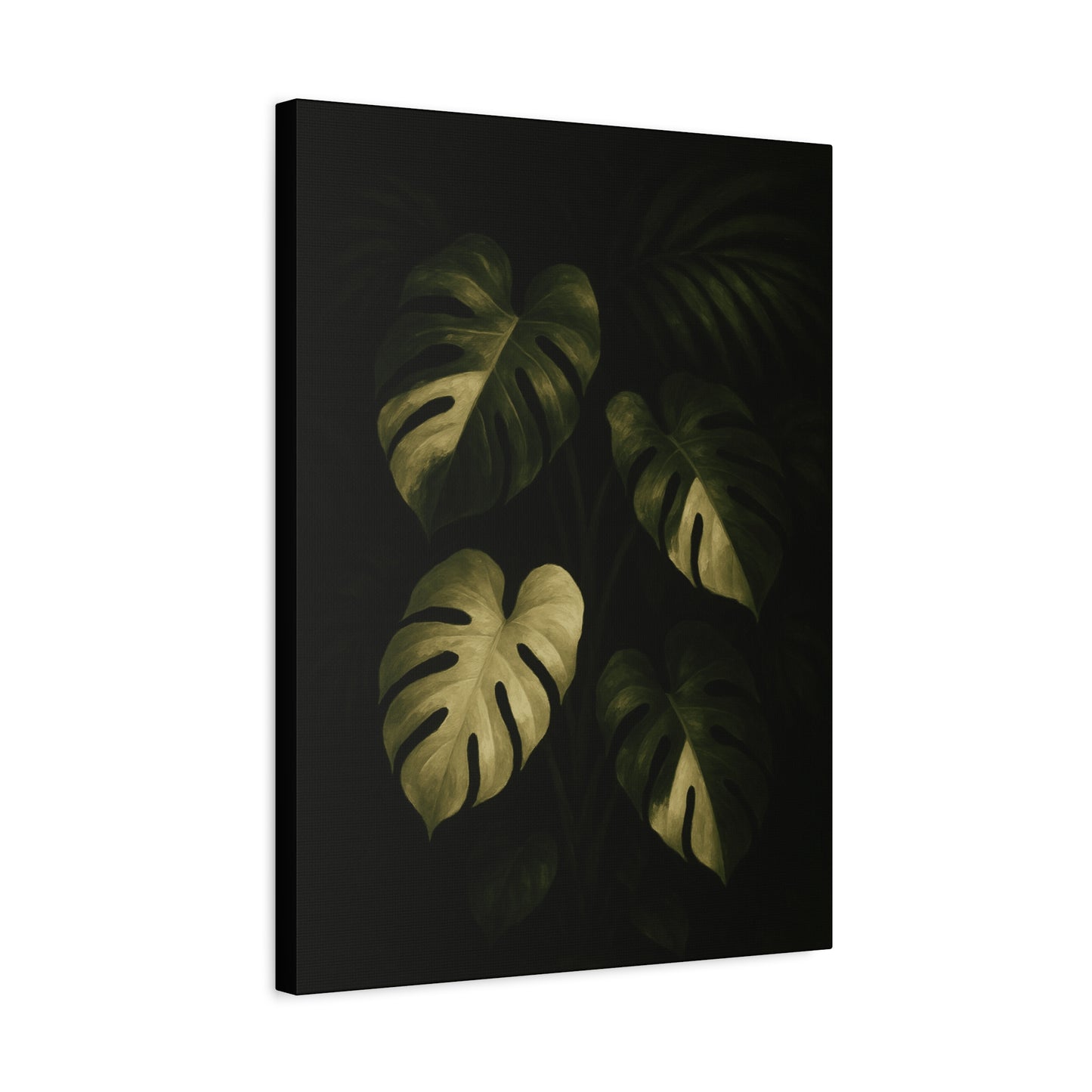 Monstera Albo Half Moon Canvas Wall Art – Rare Variegated Monstera Print, Exotic Aroid Botanical Artwork, Tropical Plant Lover Décor