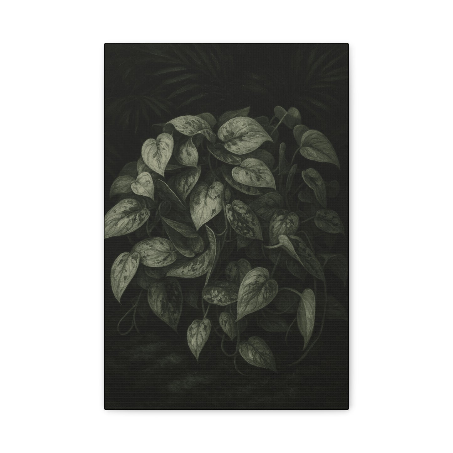 Silver Satin Pothos Canvas Wall Art – Scindapsus Pictus Botanical Print, Rare Aroid Foliage Artwork, Plant Lover Home Décor