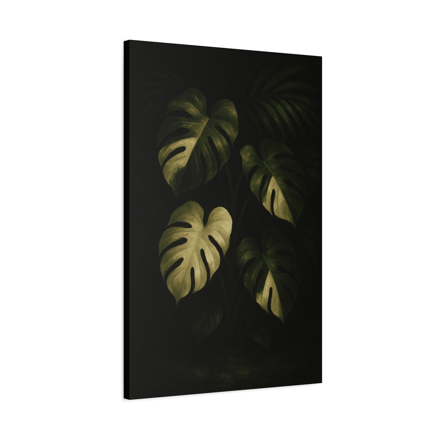 Monstera Albo Half Moon Canvas Wall Art – Rare Variegated Monstera Print, Exotic Aroid Botanical Artwork, Tropical Plant Lover Décor