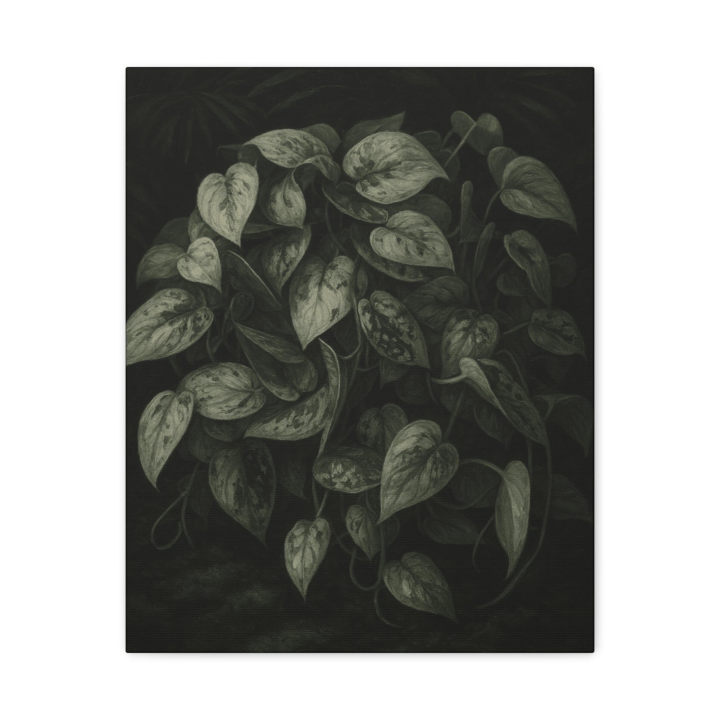 Silver Satin Pothos Canvas Wall Art – Scindapsus Pictus Botanical Print, Rare Aroid Foliage Artwork, Plant Lover Home Décor