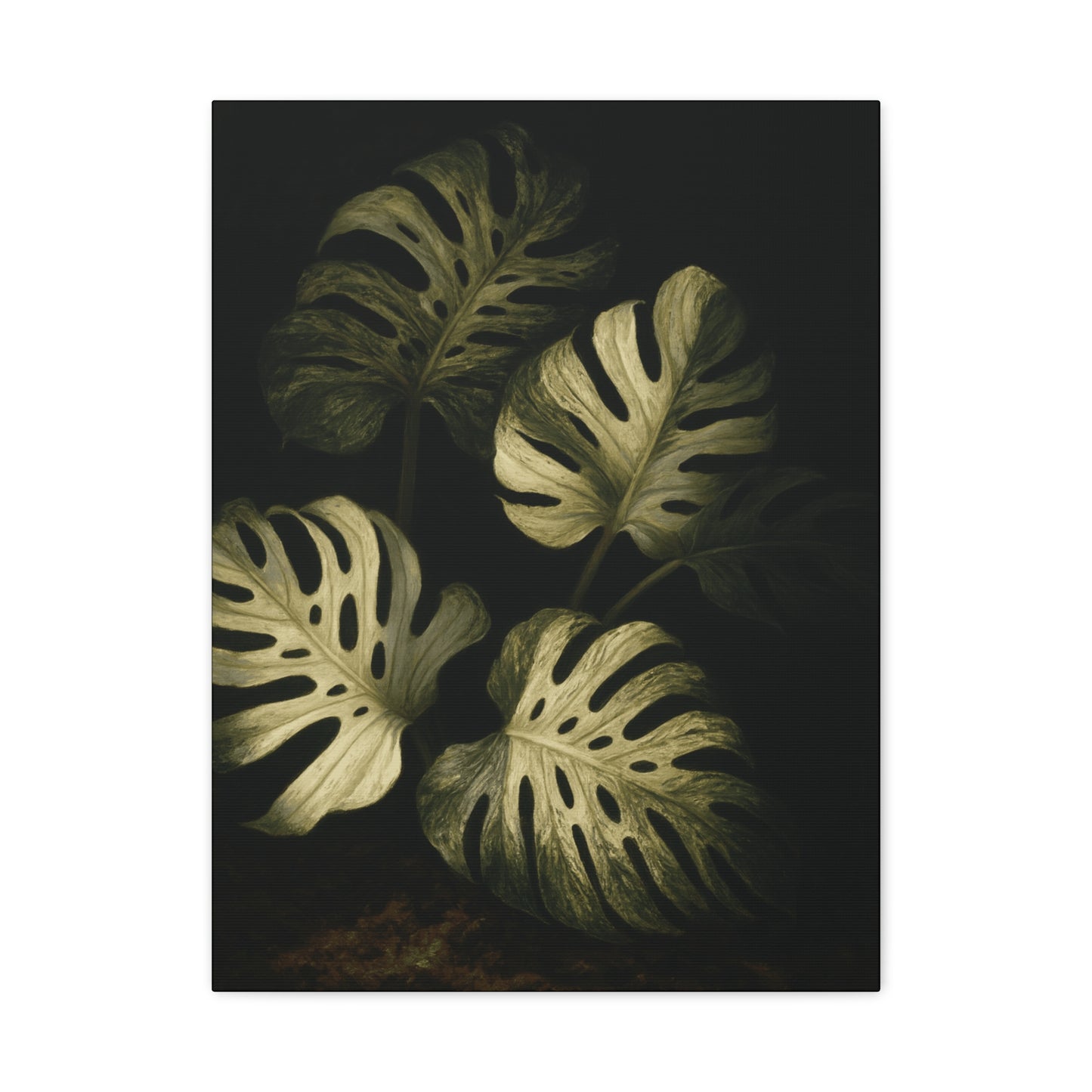 Monstera White Devil Canvas Wall Art – Rare Variegated Monstera Print, Exotic Aroid Botanical Artwork, Tropical Plant Lover Décor
