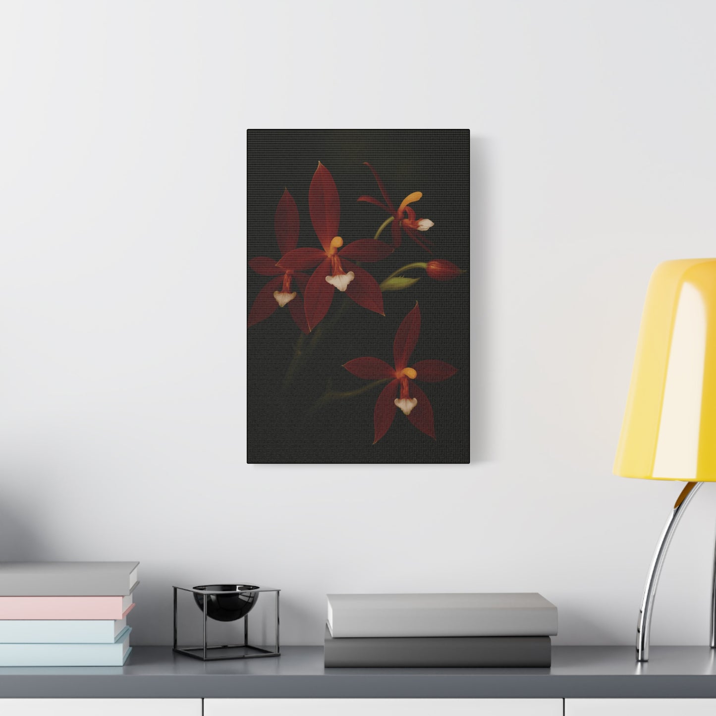 Phalaenopsis Cornu-Cervi var. Chattaladae Canvas Wall Art – Rare Red Orchid Botanical Print, Exotic Flower Artwork, Plant Lover Décor