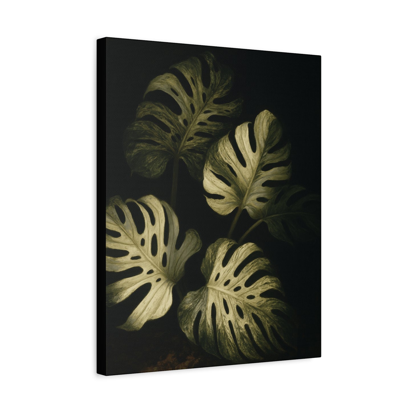 Monstera White Devil Canvas Wall Art – Rare Variegated Monstera Print, Exotic Aroid Botanical Artwork, Tropical Plant Lover Décor