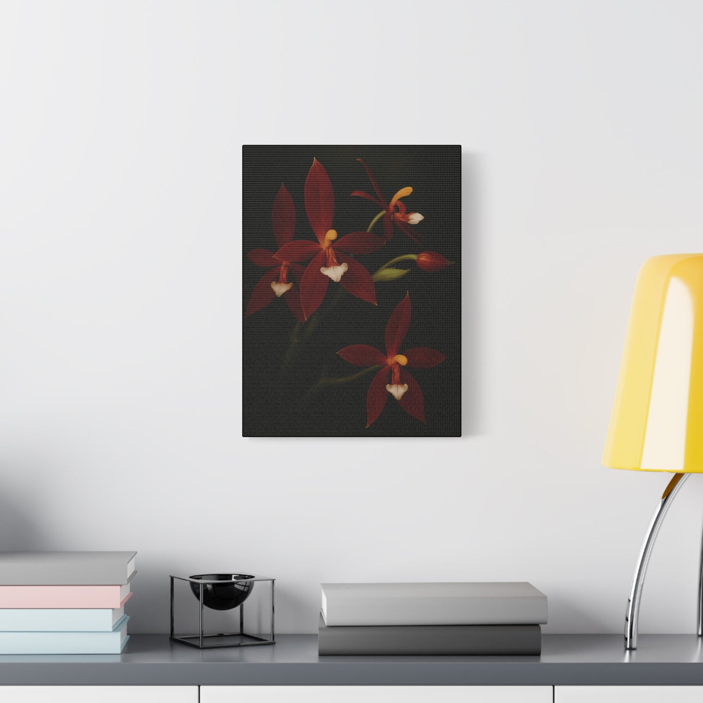 Phalaenopsis Cornu-Cervi var. Chattaladae Canvas Wall Art – Rare Red Orchid Botanical Print, Exotic Flower Artwork, Plant Lover Décor