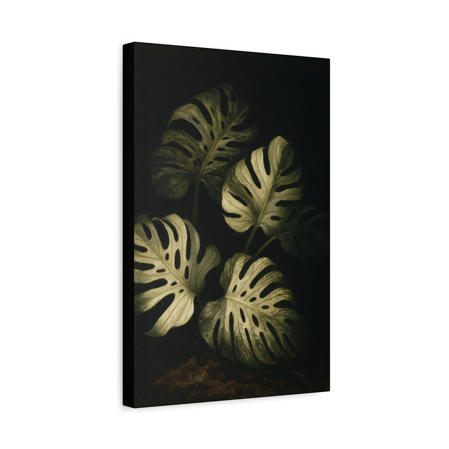 Monstera White Devil Canvas Wall Art – Rare Variegated Monstera Print, Exotic Aroid Botanical Artwork, Tropical Plant Lover Décor