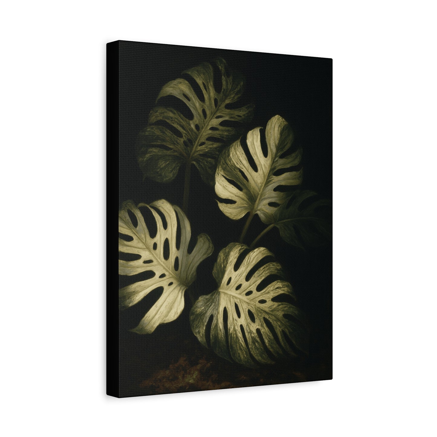 Monstera White Devil Canvas Wall Art – Rare Variegated Monstera Print, Exotic Aroid Botanical Artwork, Tropical Plant Lover Décor
