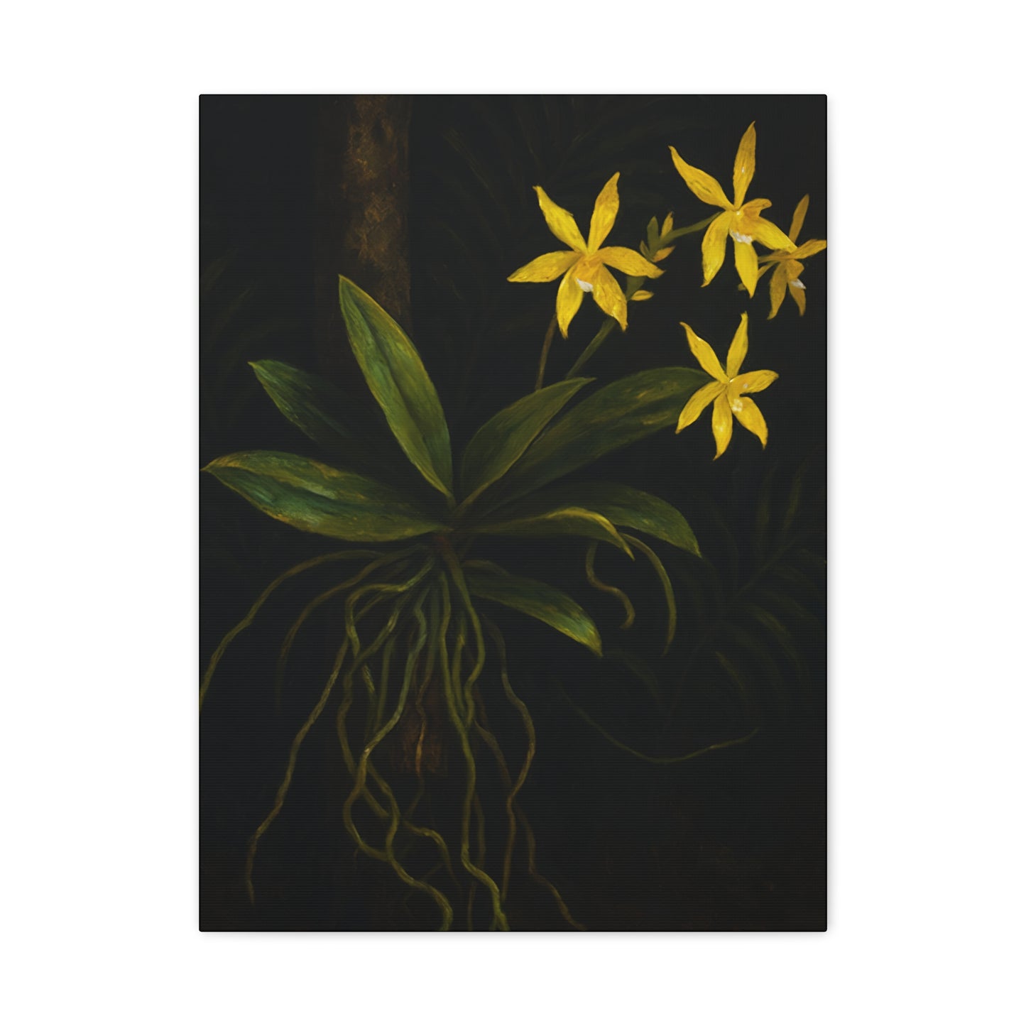 Yellow Orchid Canvas Wall Art – Phalaenopsis Cornu-Cervi f. Flava Print, Rare Botanical Flower Artwork, Plant Lover Home Décor