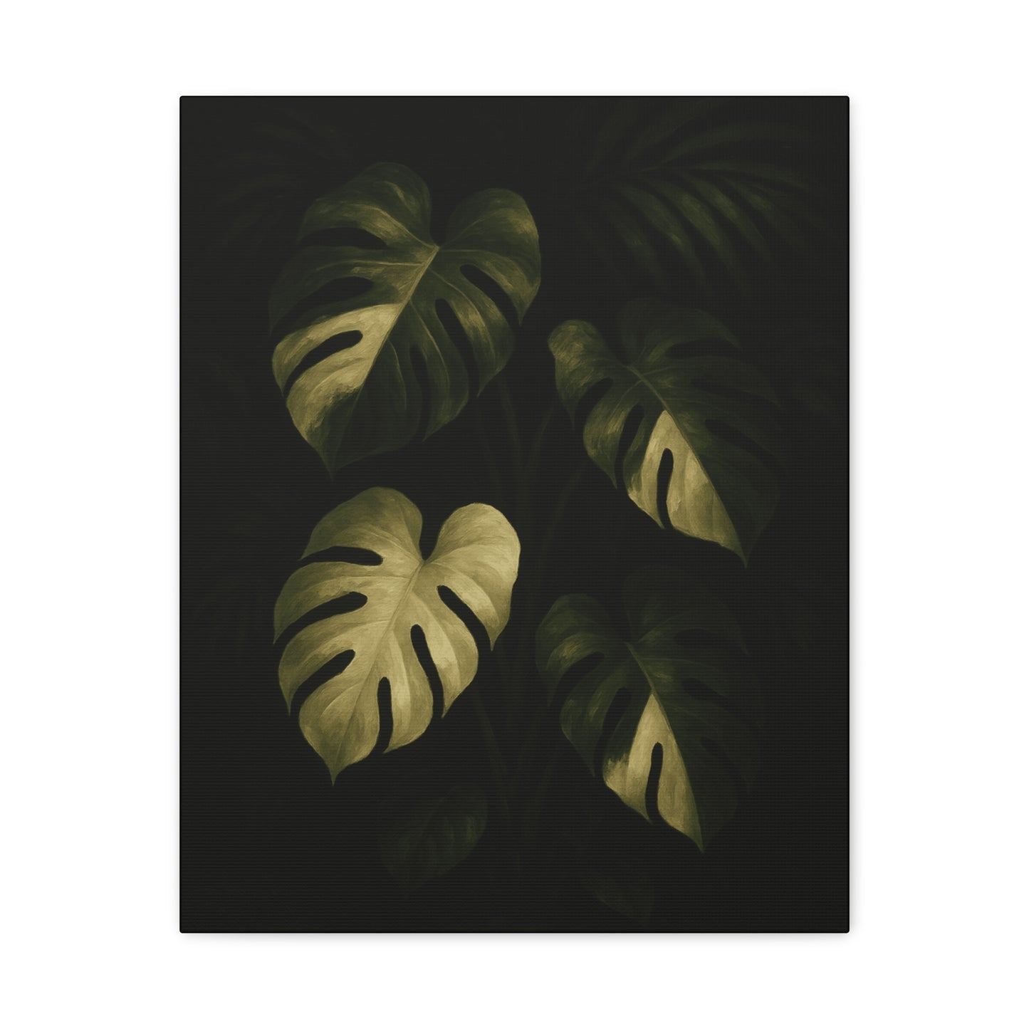 Monstera Albo Half Moon Canvas Wall Art – Rare Variegated Monstera Print, Exotic Aroid Botanical Artwork, Tropical Plant Lover Décor