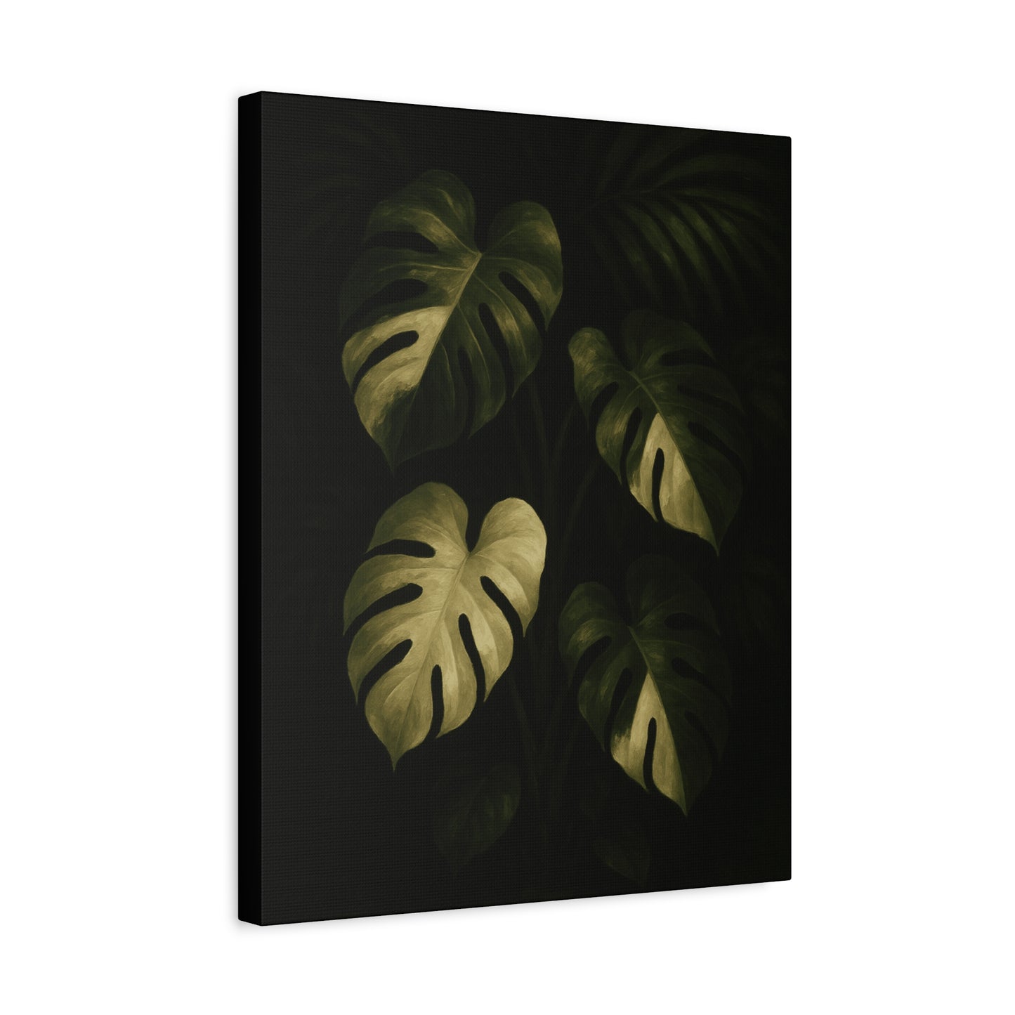 Monstera Albo Half Moon Canvas Wall Art – Rare Variegated Monstera Print, Exotic Aroid Botanical Artwork, Tropical Plant Lover Décor