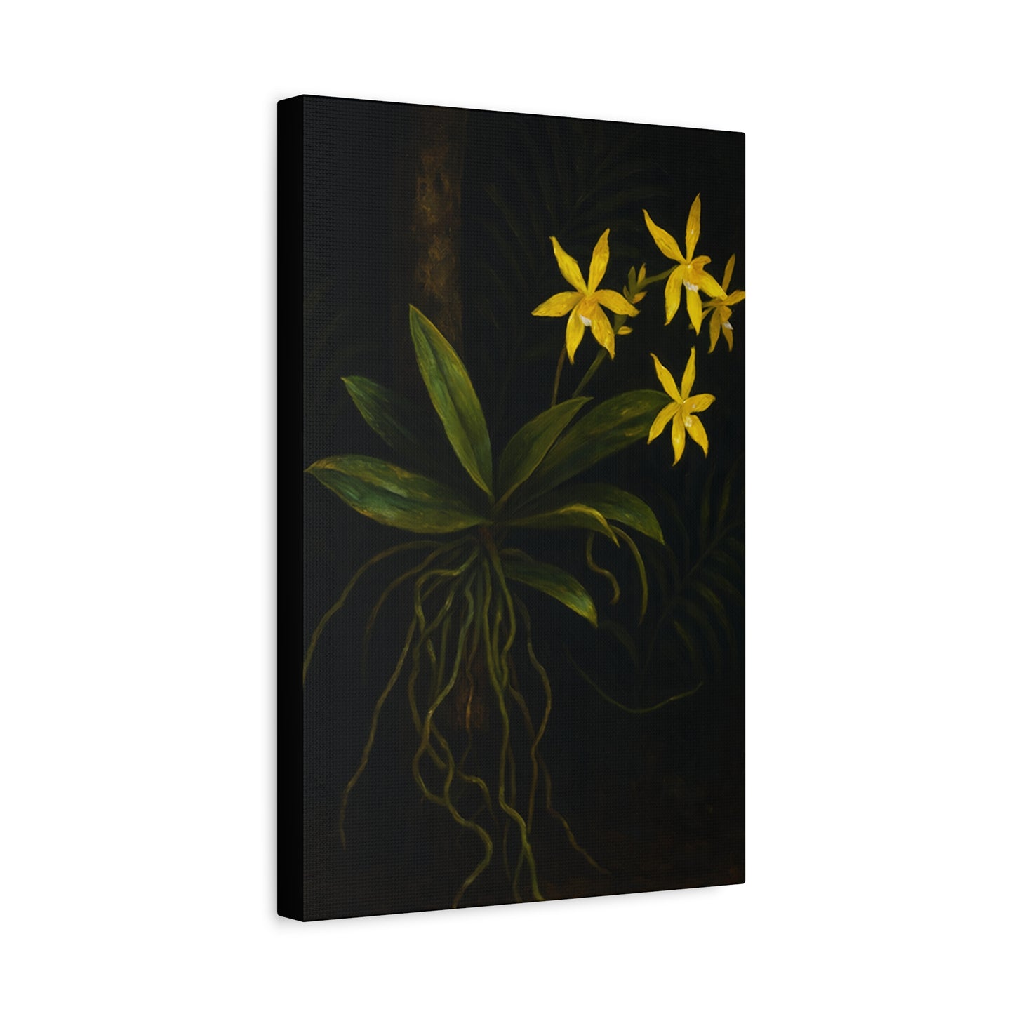 Yellow Orchid Canvas Wall Art – Phalaenopsis Cornu-Cervi f. Flava Print, Rare Botanical Flower Artwork, Plant Lover Home Décor