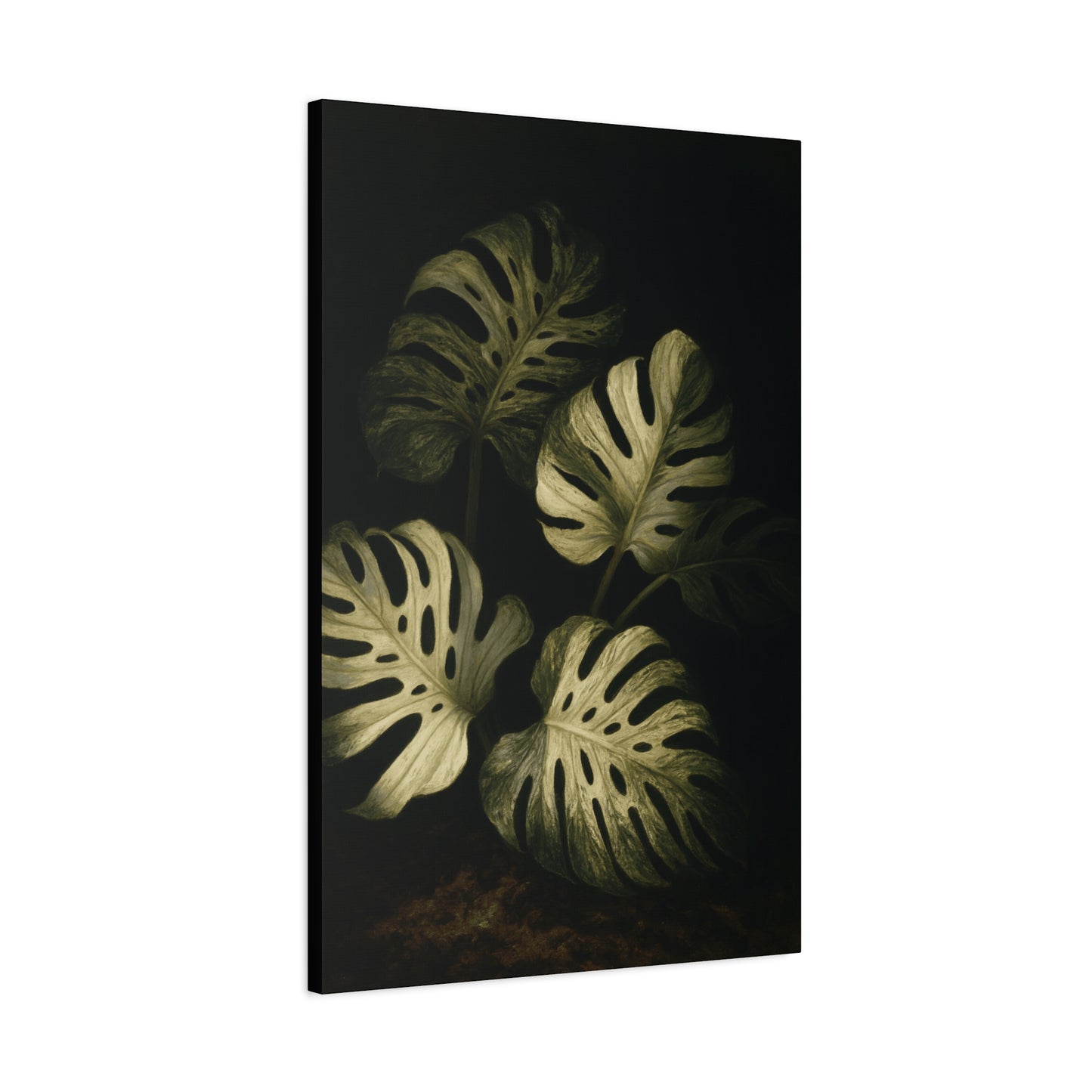 Monstera White Devil Canvas Wall Art – Rare Variegated Monstera Print, Exotic Aroid Botanical Artwork, Tropical Plant Lover Décor