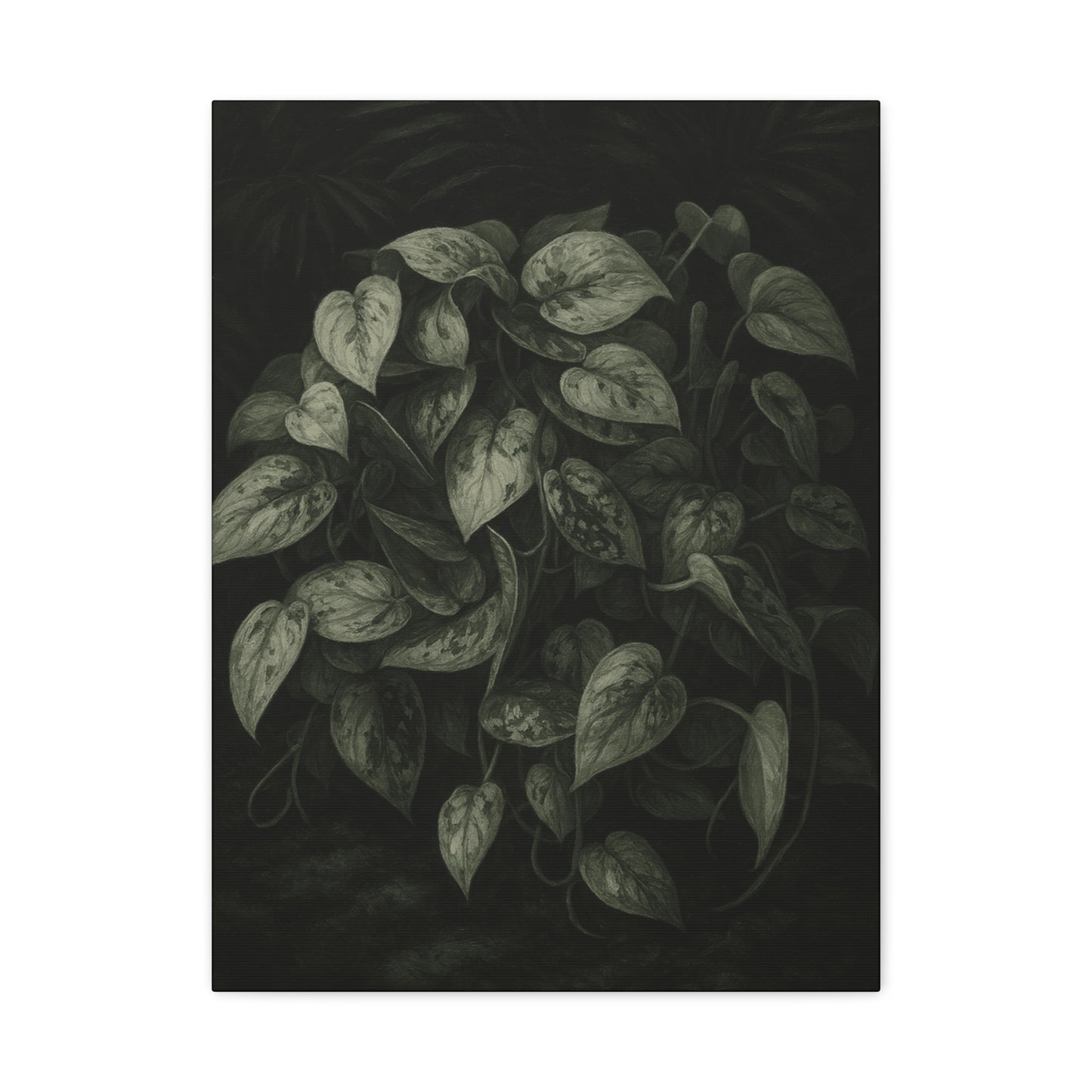 Silver Satin Pothos Canvas Wall Art – Scindapsus Pictus Botanical Print, Rare Aroid Foliage Artwork, Plant Lover Home Décor