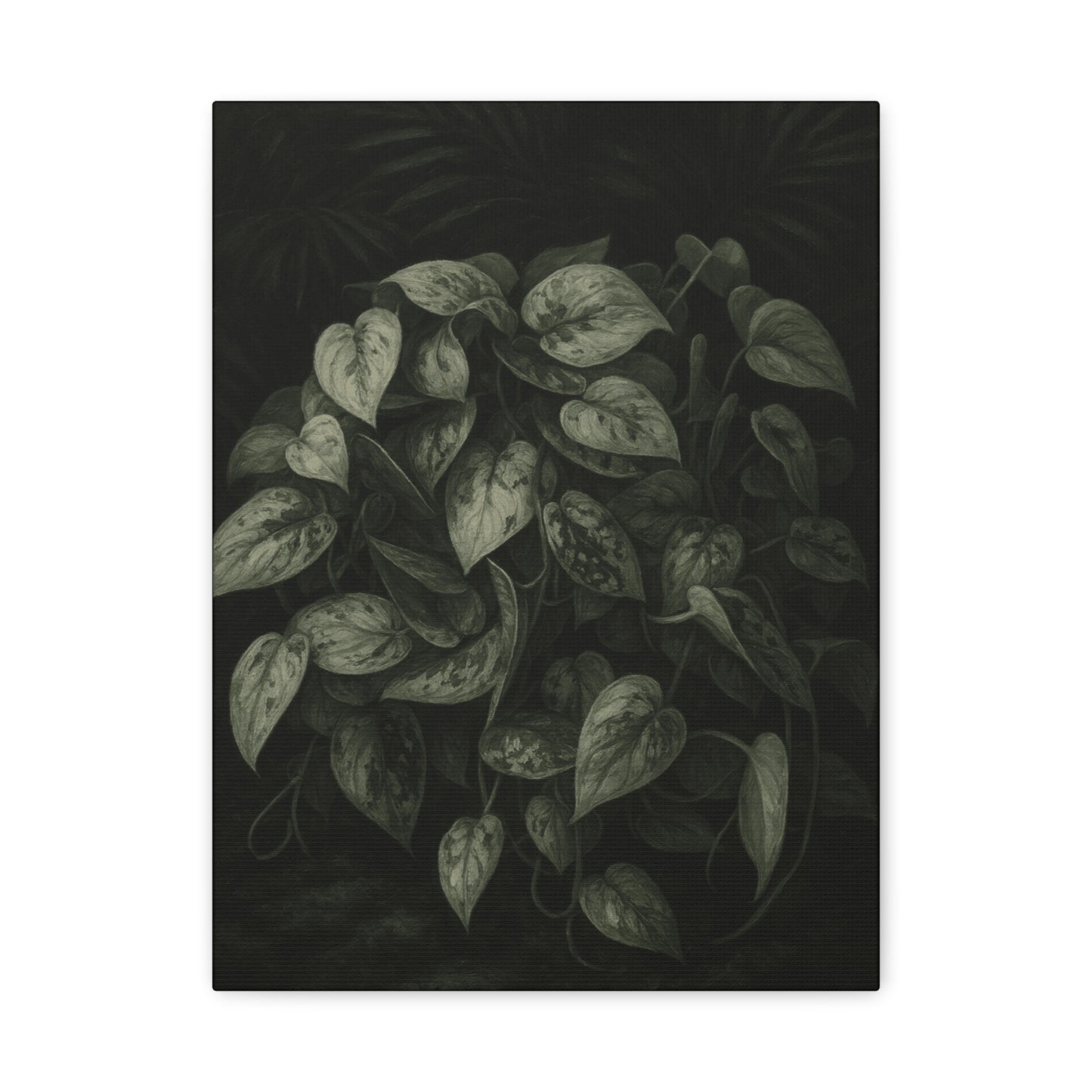 Silver Satin Pothos Canvas Wall Art – Scindapsus Pictus Botanical Print, Rare Aroid Foliage Artwork, Plant Lover Home Décor