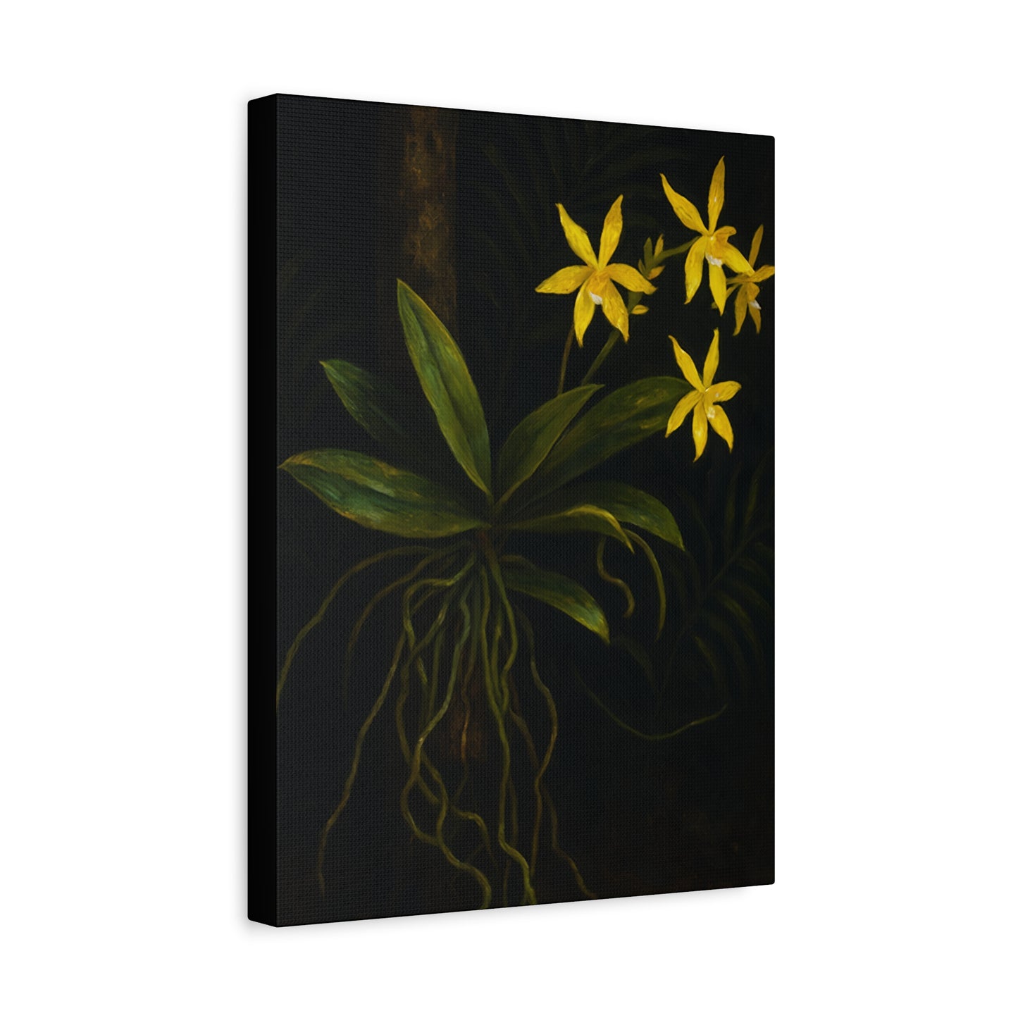 Yellow Orchid Canvas Wall Art – Phalaenopsis Cornu-Cervi f. Flava Print, Rare Botanical Flower Artwork, Plant Lover Home Décor