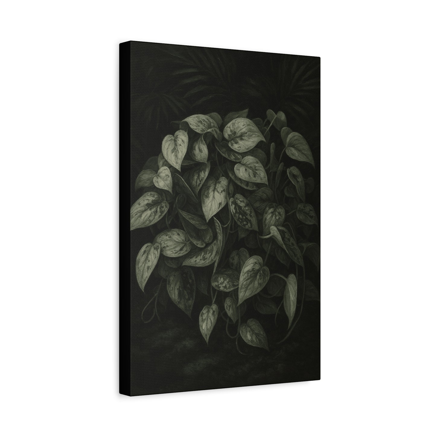 Silver Satin Pothos Canvas Wall Art – Scindapsus Pictus Botanical Print, Rare Aroid Foliage Artwork, Plant Lover Home Décor