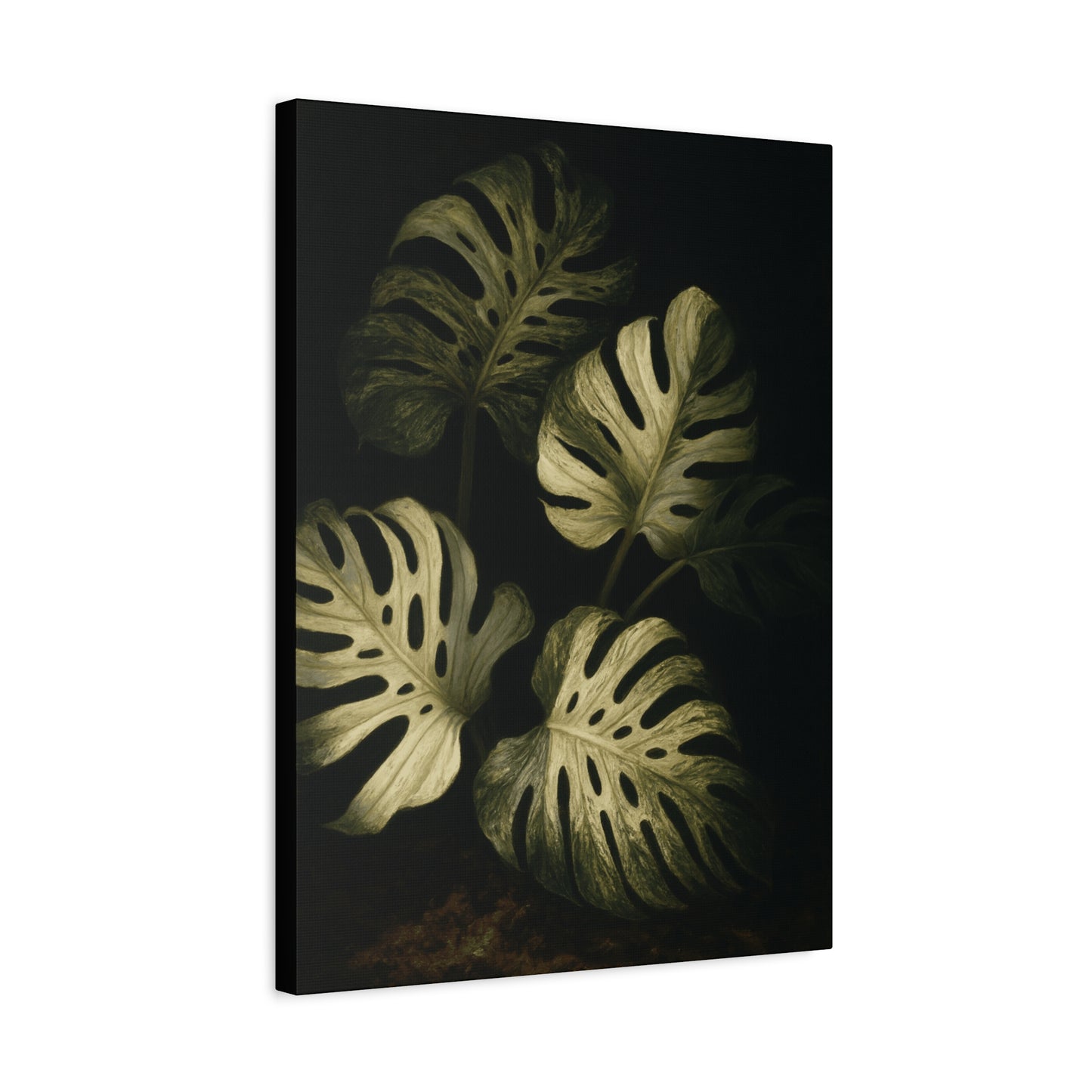 Monstera White Devil Canvas Wall Art – Rare Variegated Monstera Print, Exotic Aroid Botanical Artwork, Tropical Plant Lover Décor
