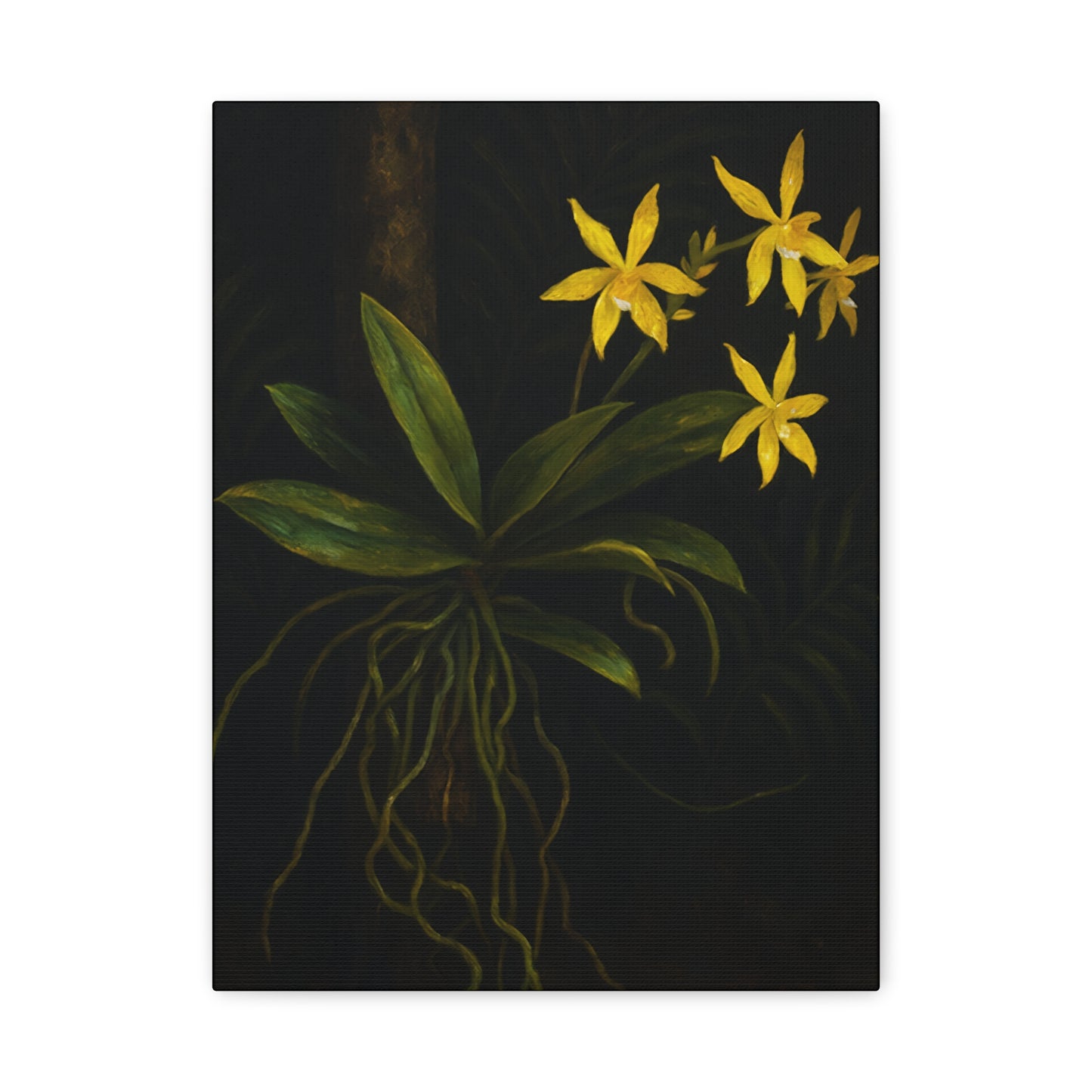 Yellow Orchid Canvas Wall Art – Phalaenopsis Cornu-Cervi f. Flava Print, Rare Botanical Flower Artwork, Plant Lover Home Décor
