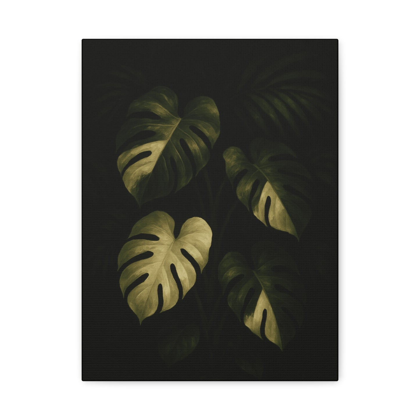 Monstera Albo Half Moon Canvas Wall Art – Rare Variegated Monstera Print, Exotic Aroid Botanical Artwork, Tropical Plant Lover Décor