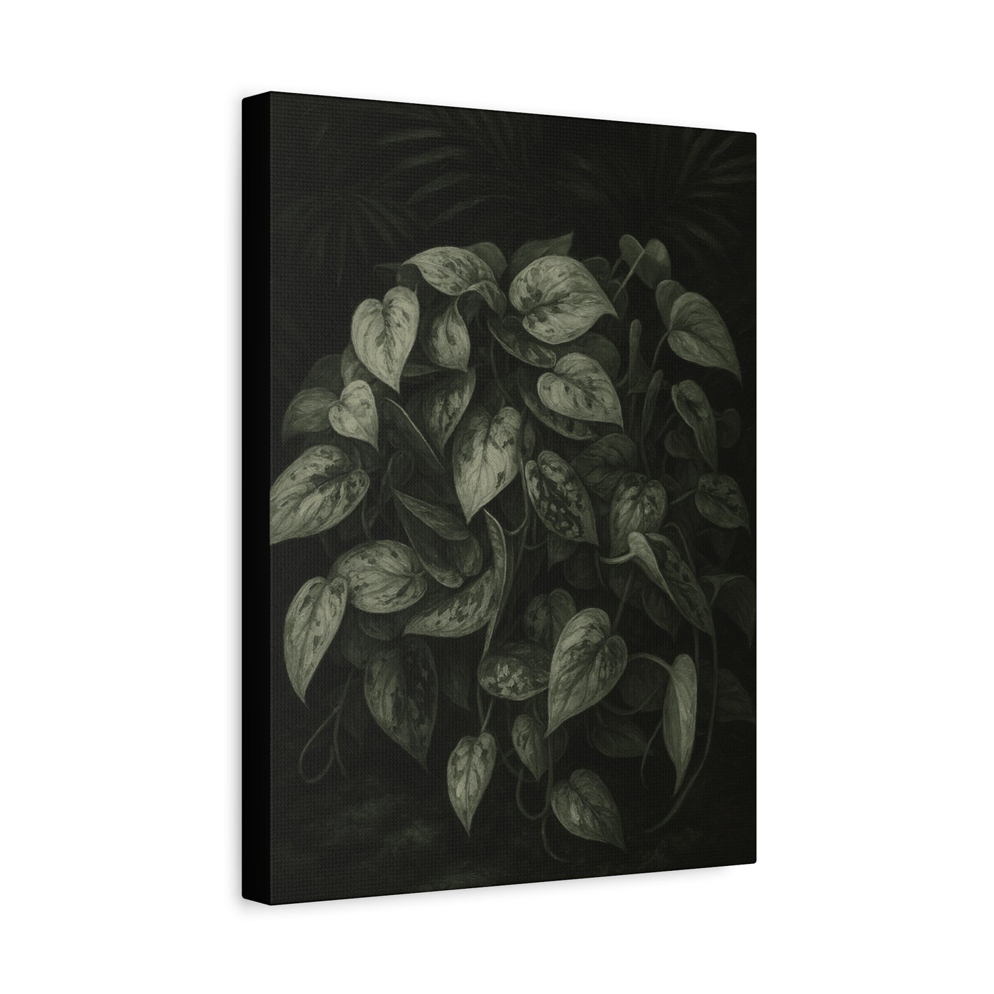 Silver Satin Pothos Canvas Wall Art – Scindapsus Pictus Botanical Print, Rare Aroid Foliage Artwork, Plant Lover Home Décor