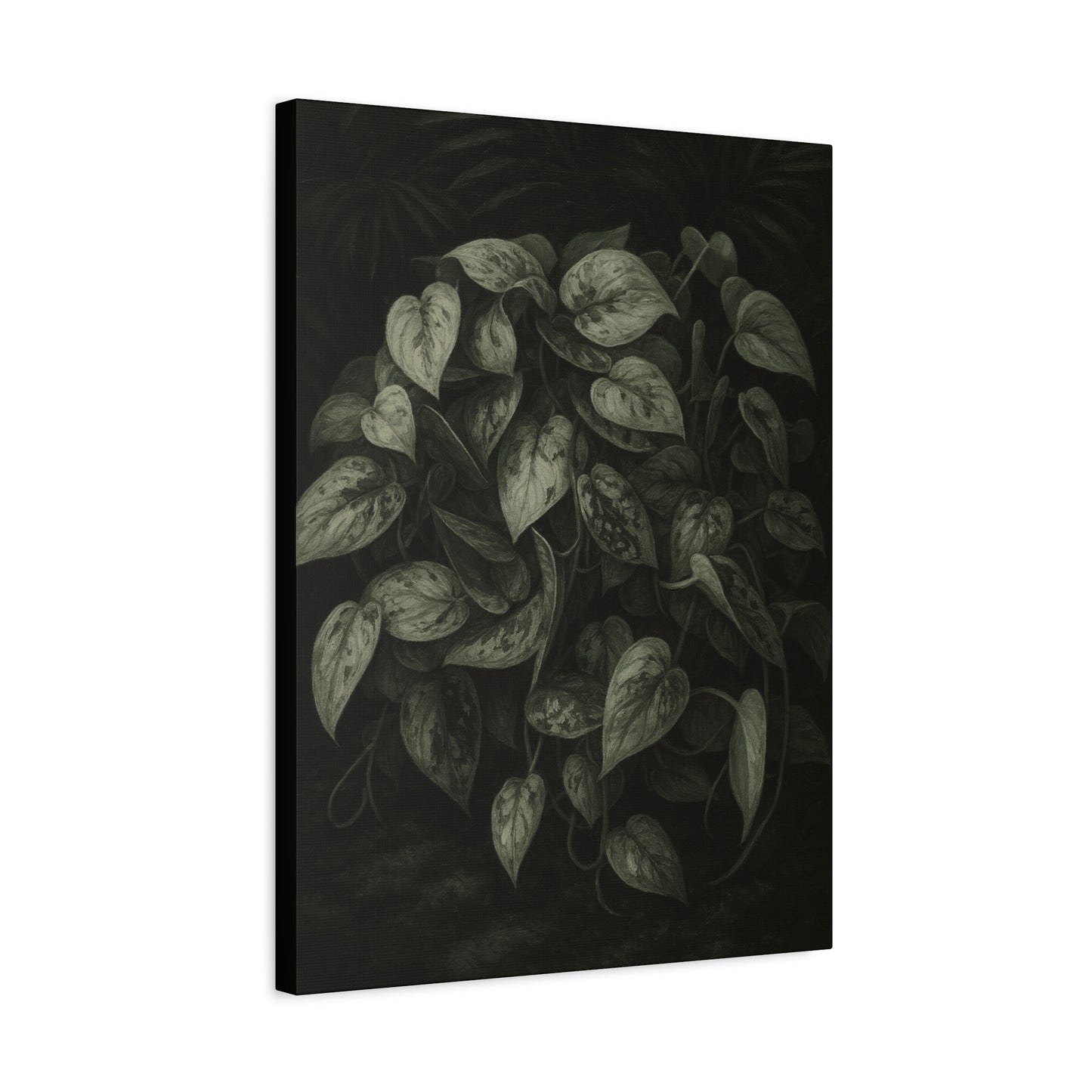 Silver Satin Pothos Canvas Wall Art – Scindapsus Pictus Botanical Print, Rare Aroid Foliage Artwork, Plant Lover Home Décor