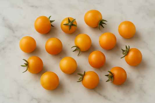 Wild Galapagos Tomato - Rare