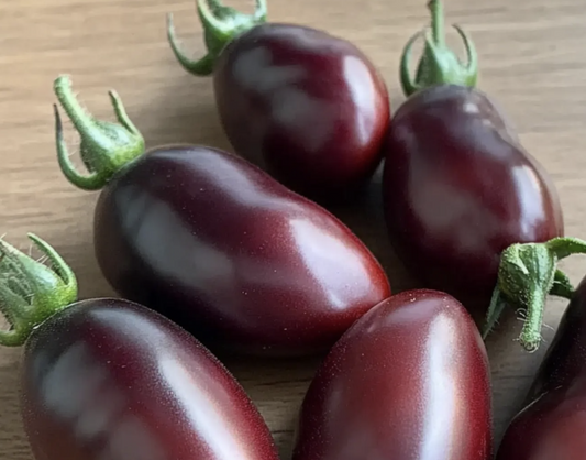 Ukrainian Purple Tomato